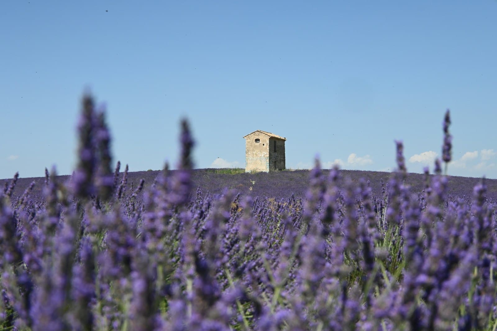 France nature