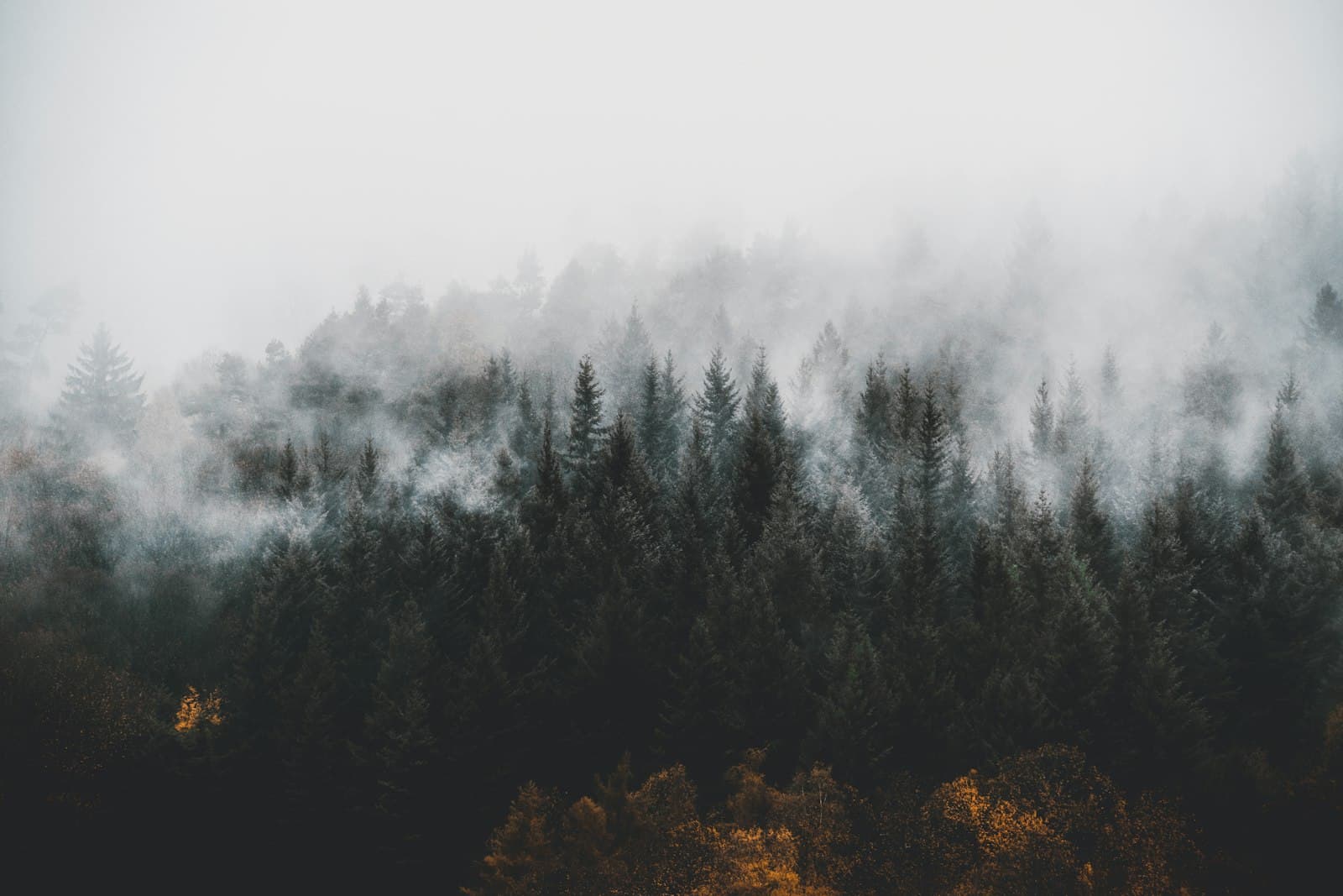 Germany nature