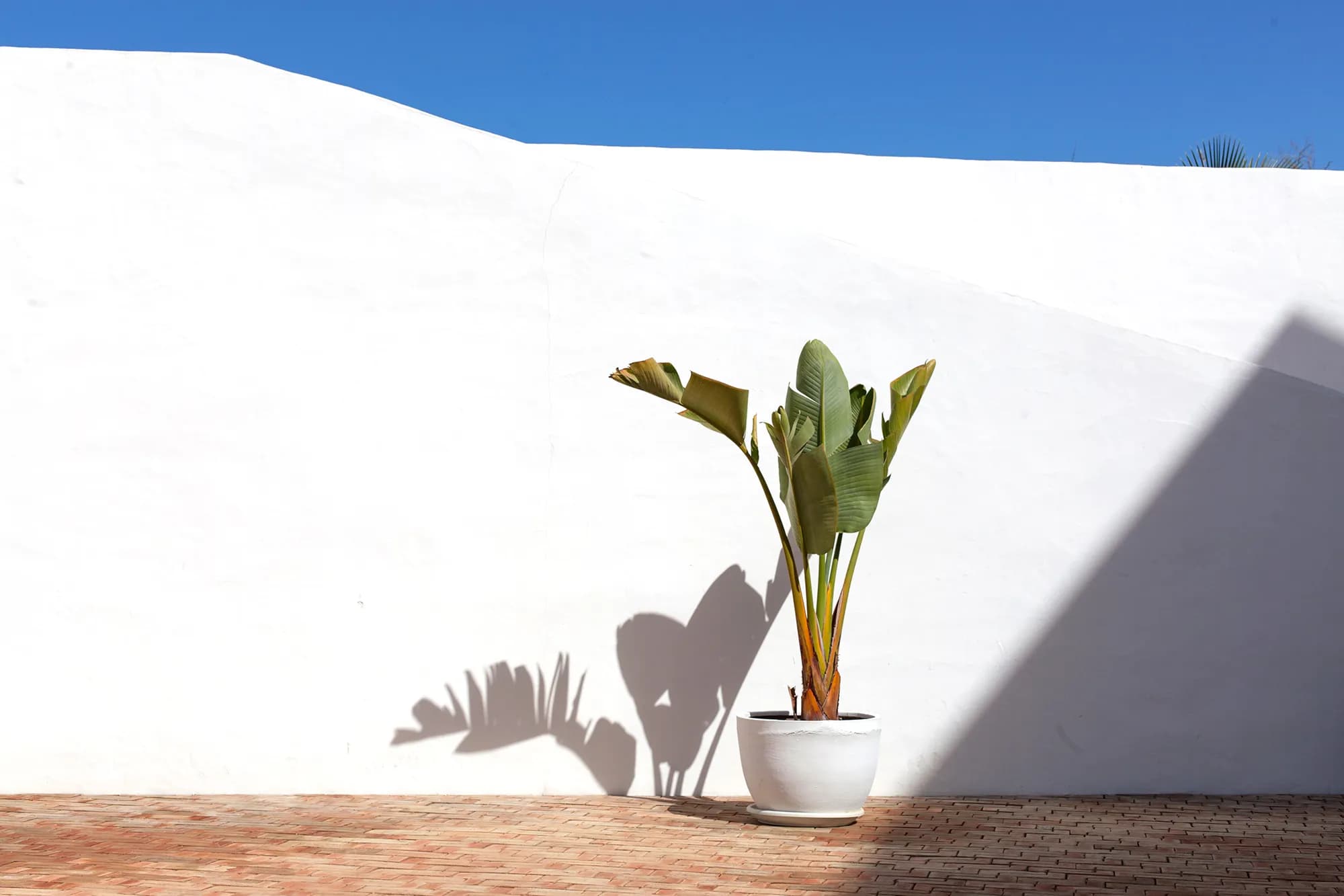 Casa Mãe — photo 3