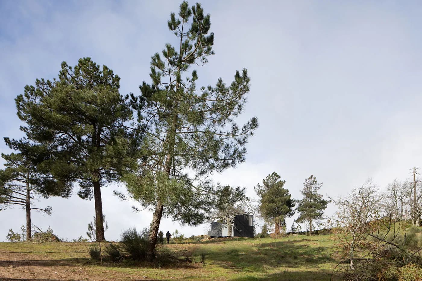 Casa no Castanheiro — photo 3