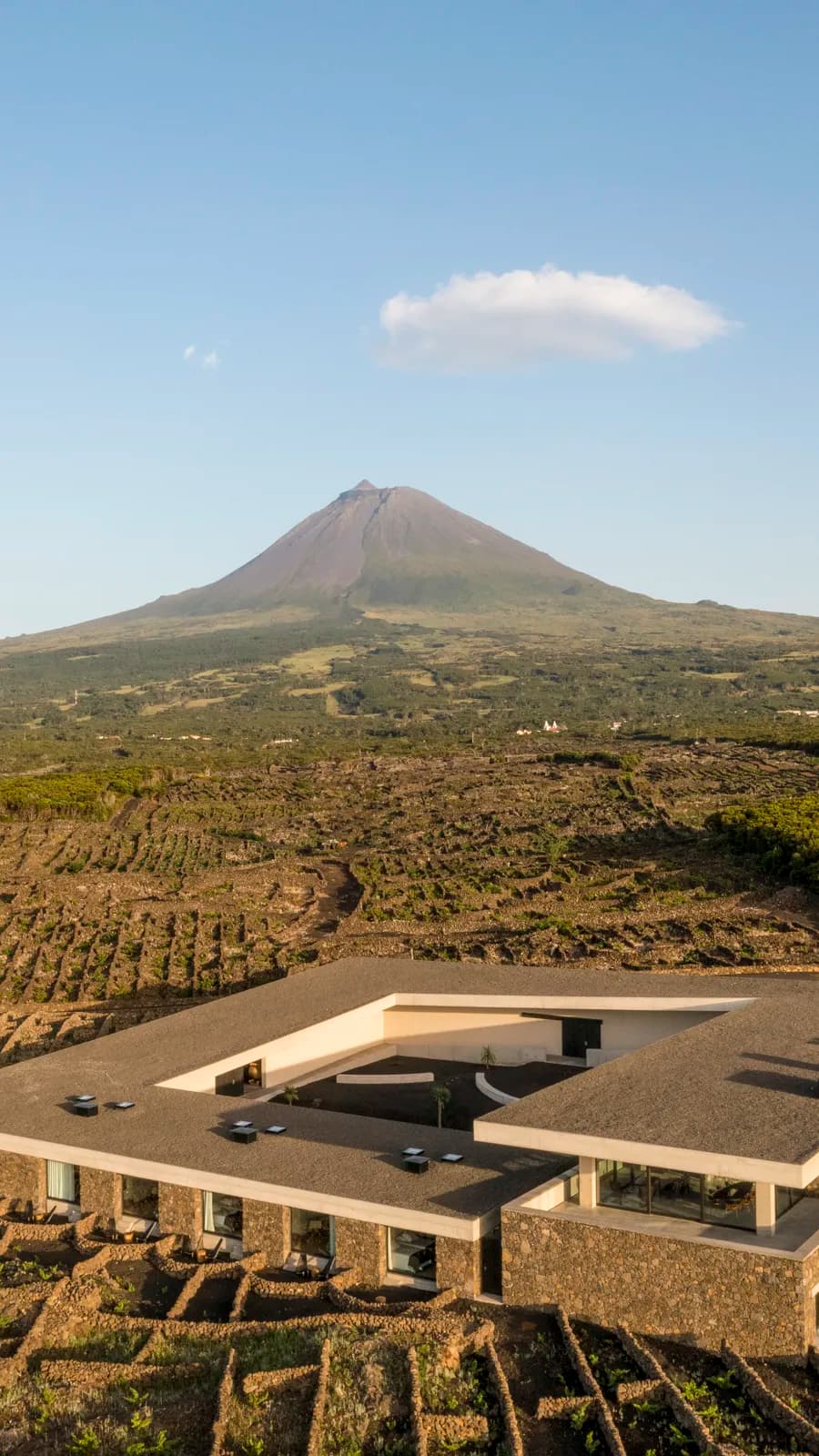 Azores Wine Company — photo 1