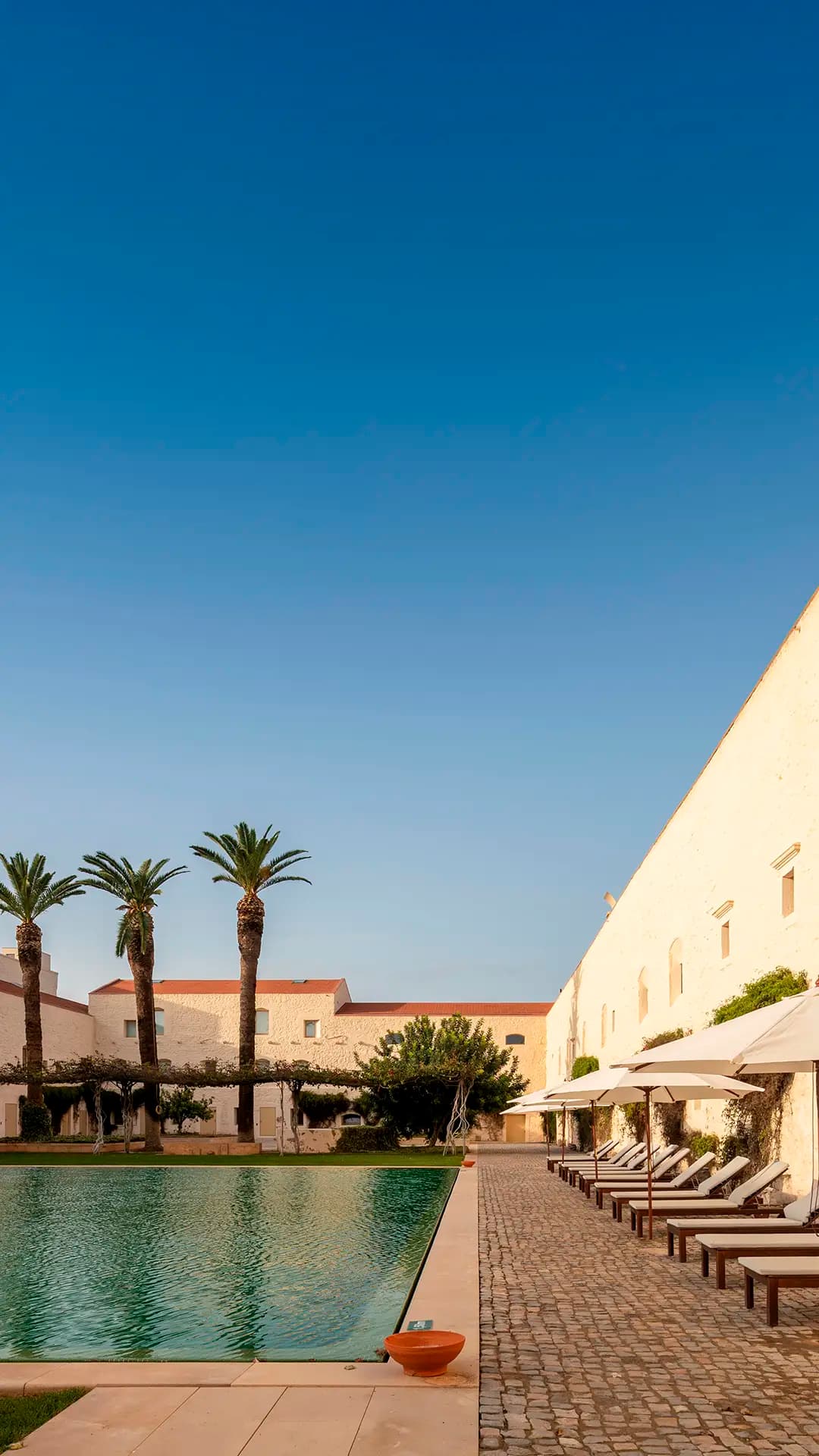 Flattered to be in Algarve — photo 1