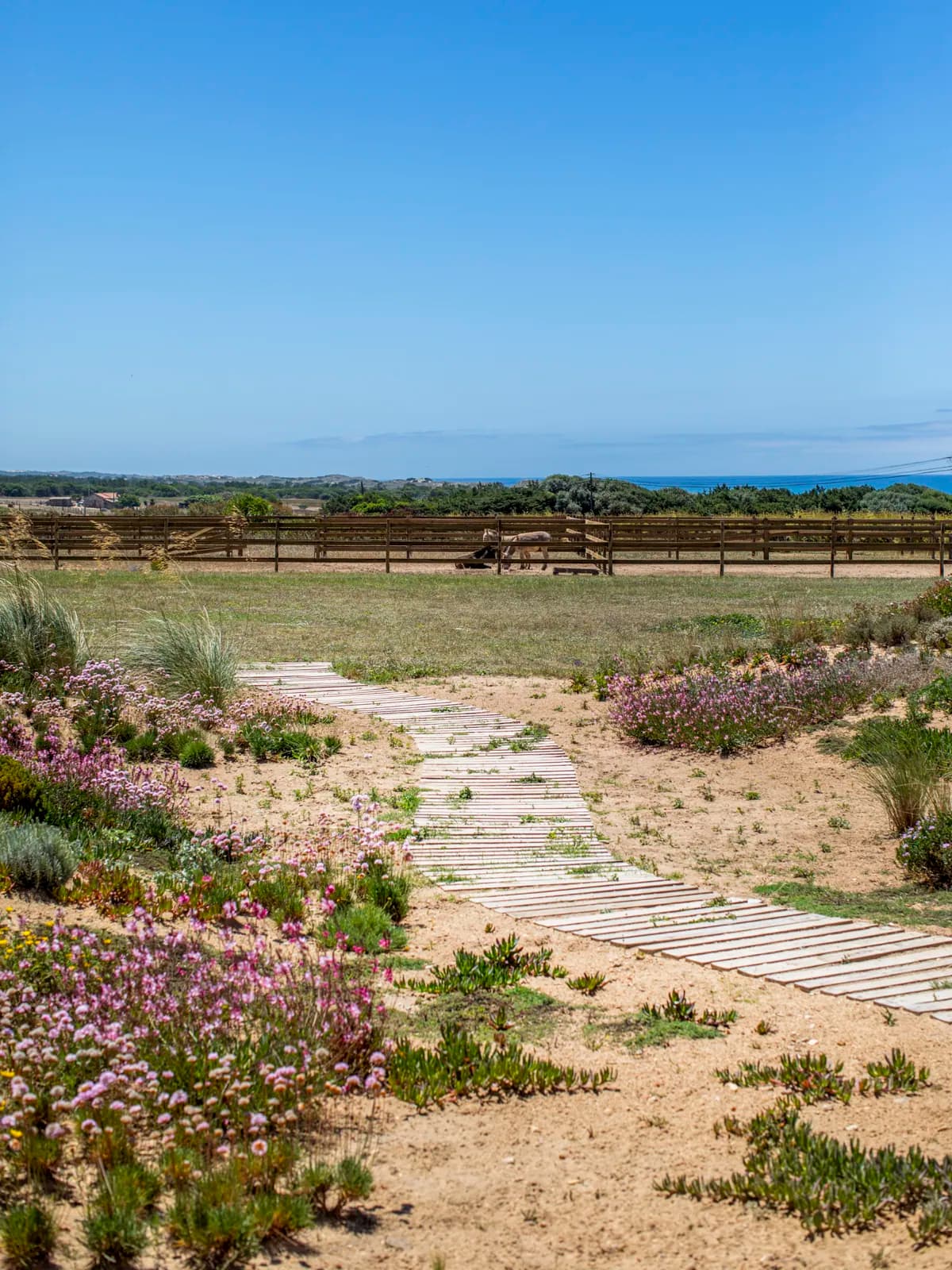 Monte da Bemposta — photo 4