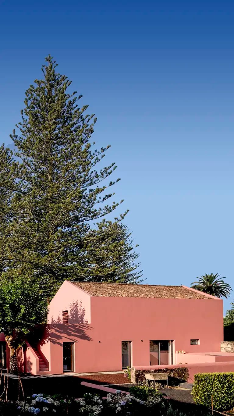 Pink House — photo 1