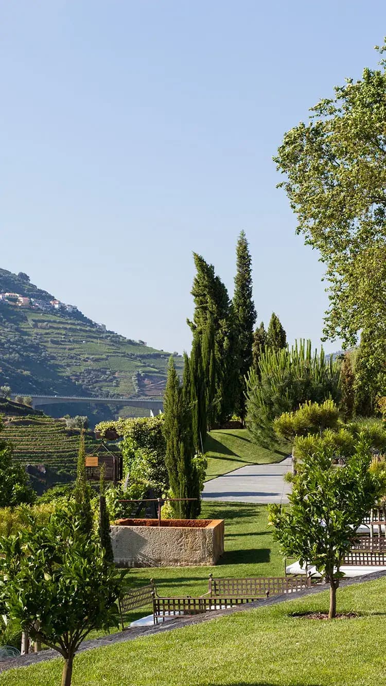 Quinta do Vallado — photo 1