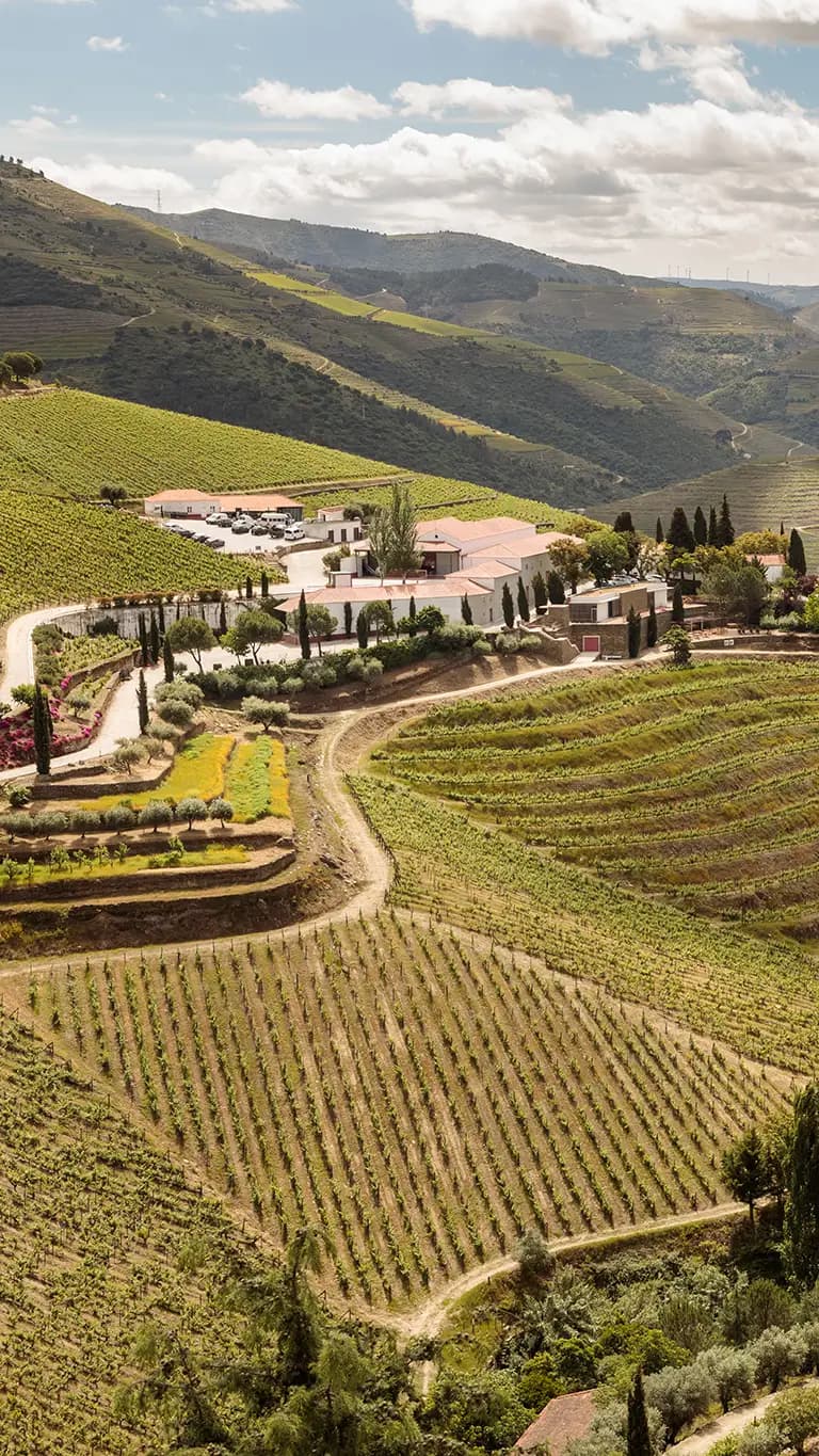 Quinta Nova Winery House — photo 1